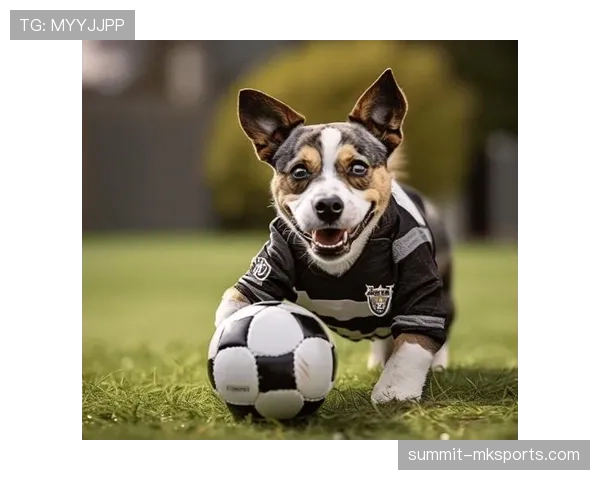 贝肯鲍尔比赛阅读能力持续提升，防守组织与进攻发起表现稳健