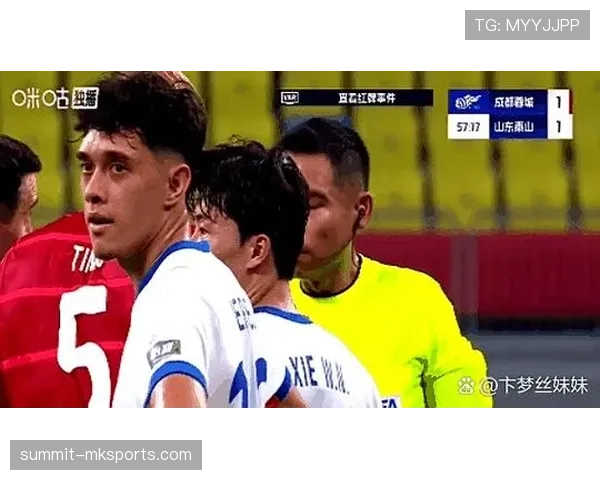 裁判出牌标准解析：哪些动作必须黄牌或红牌处罚？